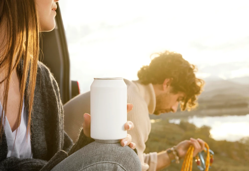 portable cooler box for car