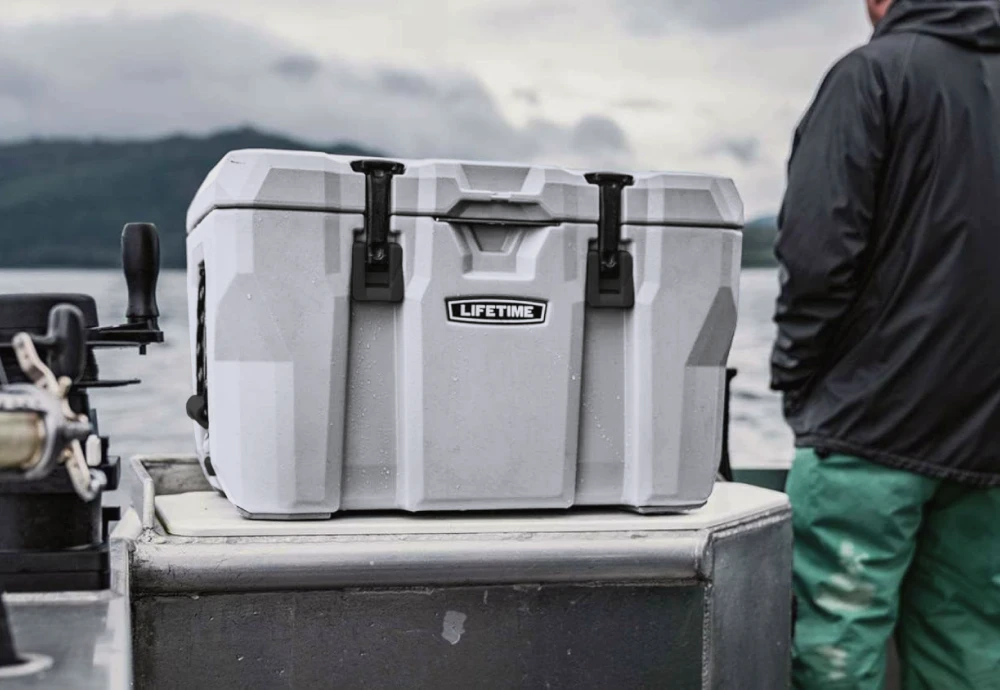 portable cooler box for car