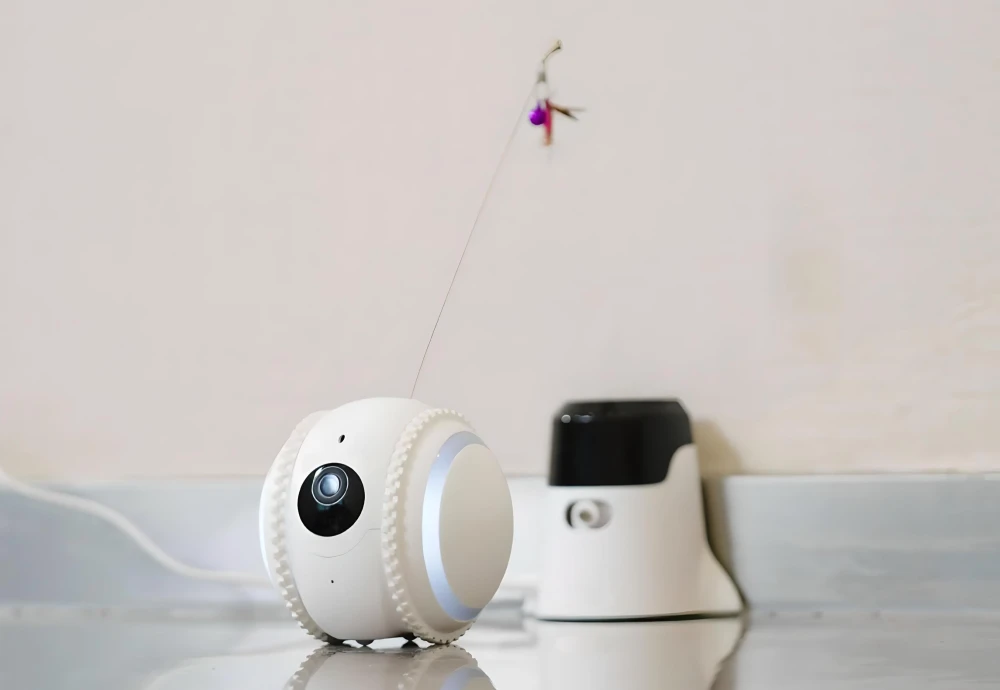 best pet watching camera