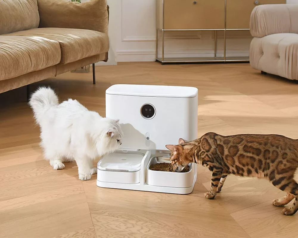 automatic dog food feeder