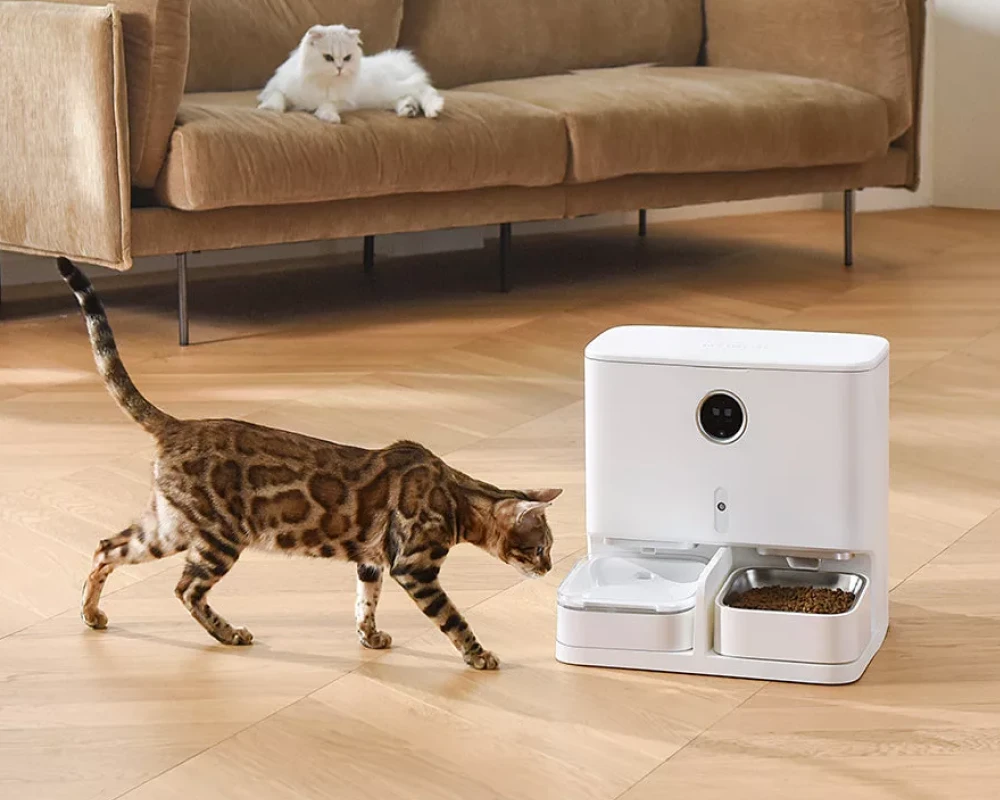 automatic wifi pet feeder